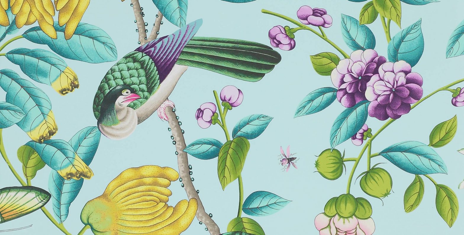 Manuel Canovas